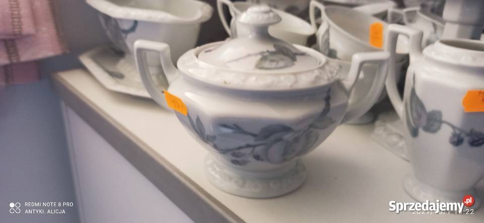 Filiżanka Rosenthal Maria Dekor Jeżyna Germany Gdańsk sprzedam
