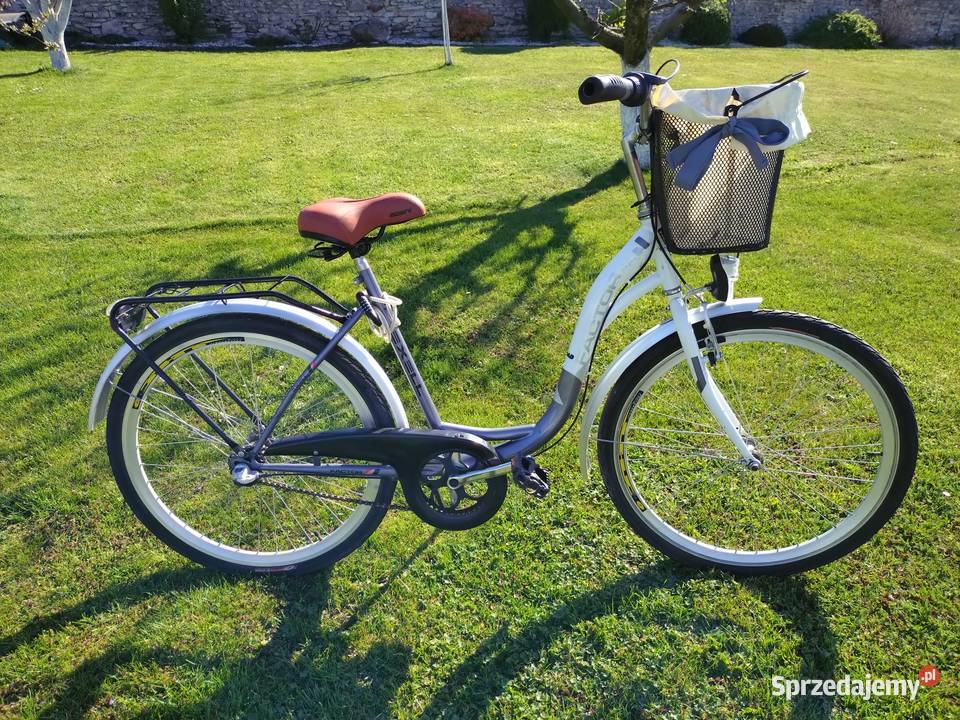 Rower miejski opolskie
