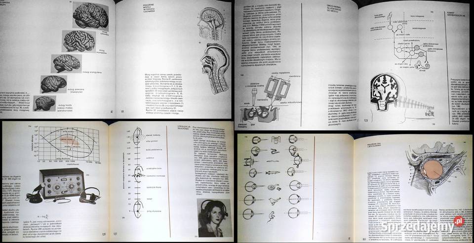 Atlas psychologiczny Włodzimierz Szewczuk lubelskie Chełm