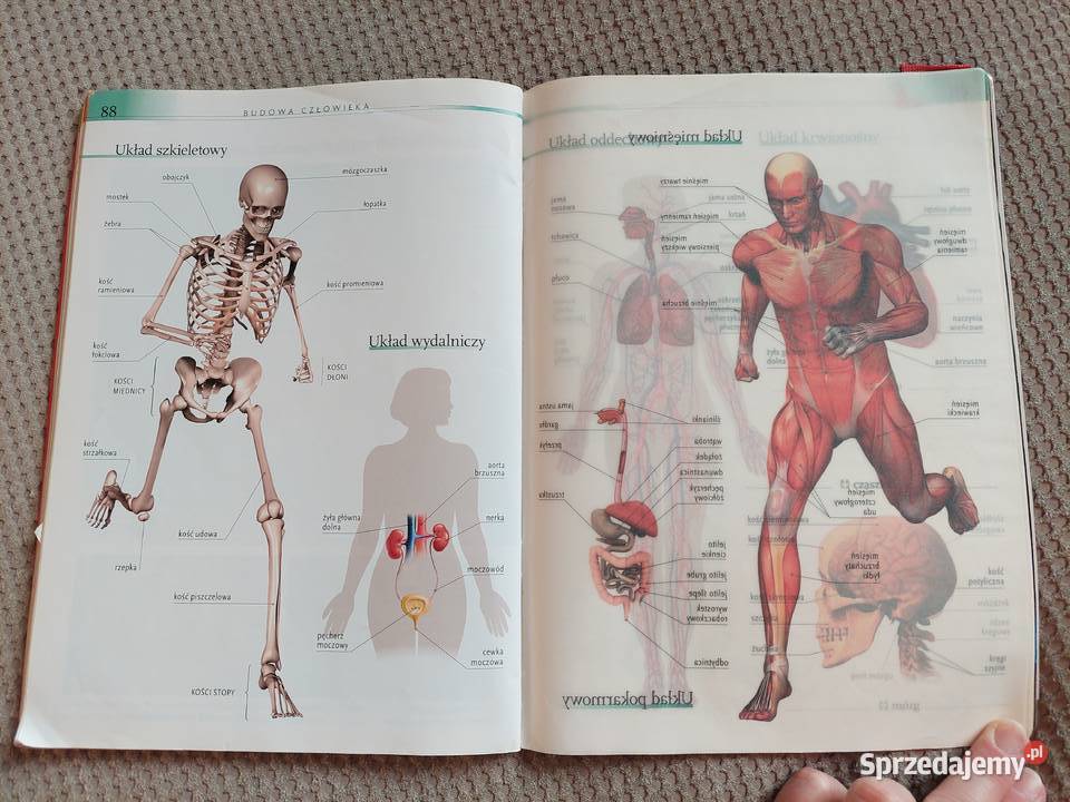 Atlas przyrodniczy szkoła podstawowa Podręczniki sprzedam