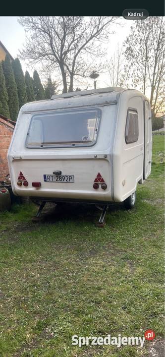 Niewiadow n 126 DMC 510