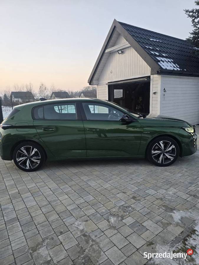 Sprzedam peugeot 308 zielony 308 Kraków