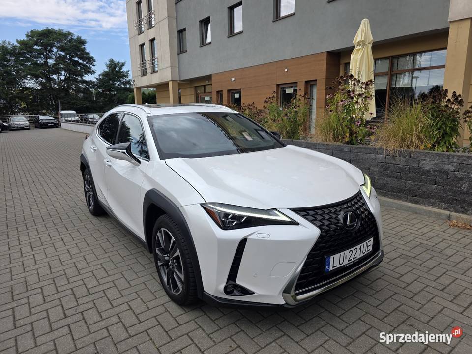 Lexus UX 250H Omotenashi Mark Levinson premium Lublin