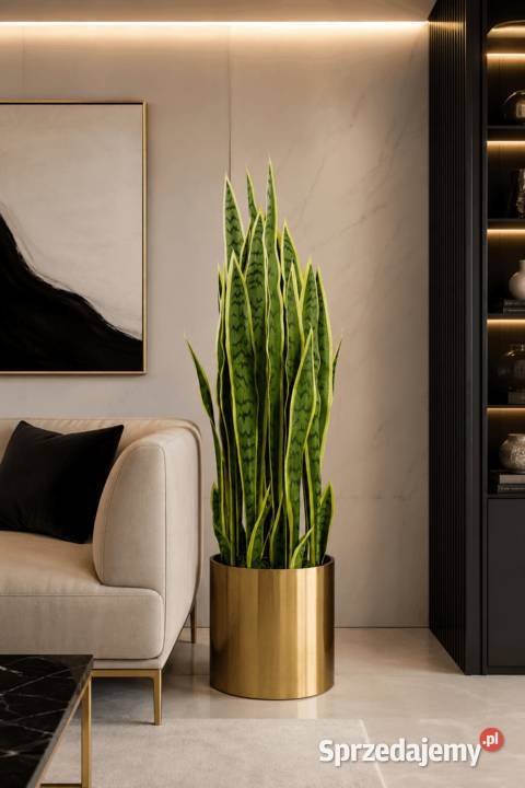 Sztuczna sansevieria w doniczce 90 Golkowice