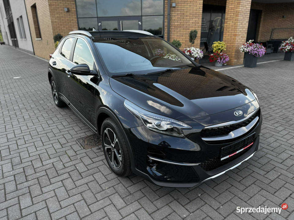 Kia XCeed Serwisowany KIA Oryginalny lakier NAVI automatyczna Modliborzyce