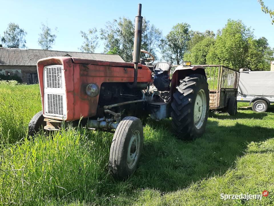 Ursus360 Mława