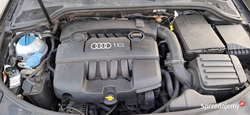 Audi A3 2003r 16 MPI Gaz Zadbana Okazja MP3 Rzeszów