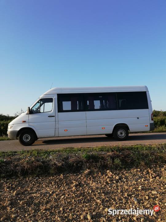 Mercedes Sprinter 313CDI Autobusy i minibusy