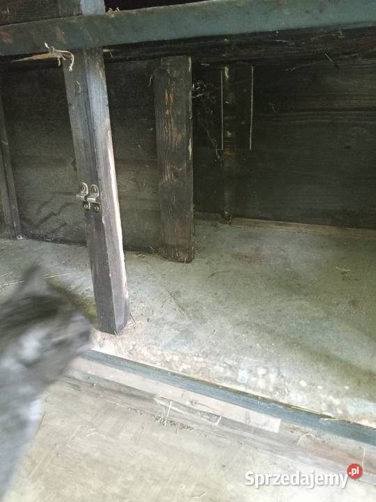 Klatka króliki segmentowa hodowla Pozostałe małopolskie Moszczenica sprzedam