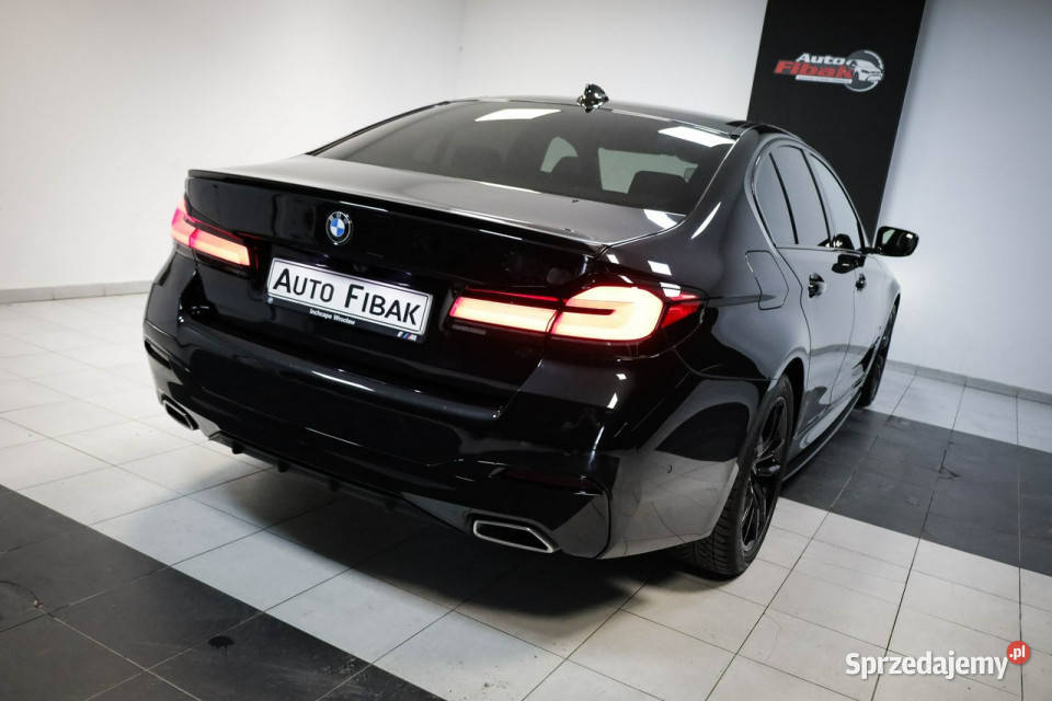 BMW 520 LCI190xDriveMpakietCarbonSalon bluetooth Konstantynów Łódzki