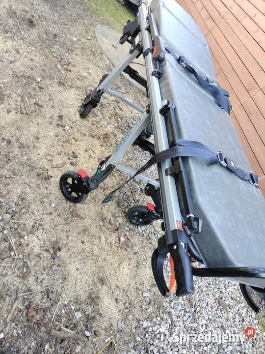 nosze kartsana Drągowina