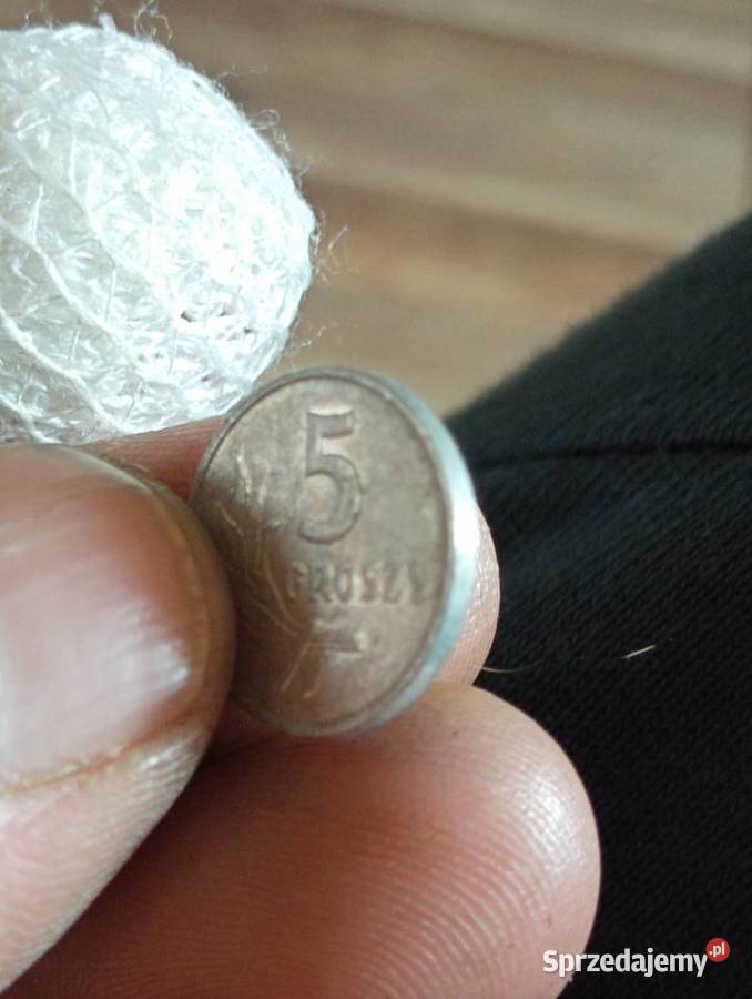 Sprzedam 5 gr 1968 r Chełm