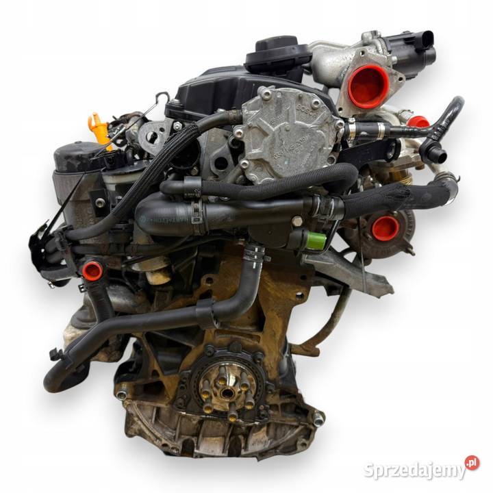 SILNIK BRB Audi A4 B7 19 TDI 116 diesel Chełm