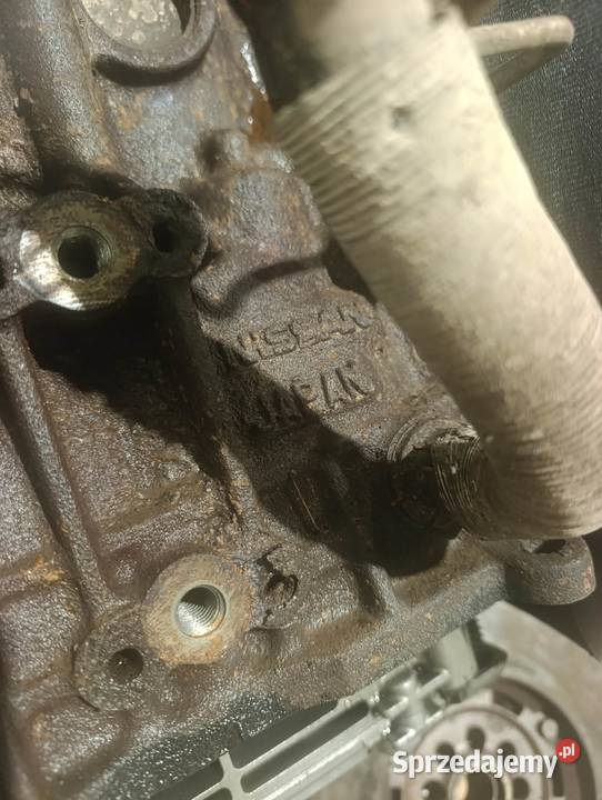 Silnik kompletny Nissan Pathfinder R51 Navara sprzedam