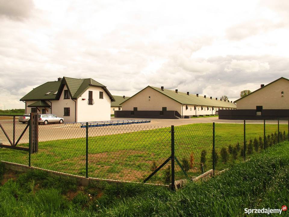 Budowa Chlewni Obór Kurników TANIO SZYBKO