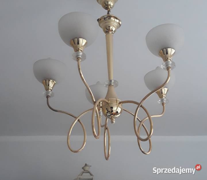 Piękny złoty żyrandol zachodniopomorskie