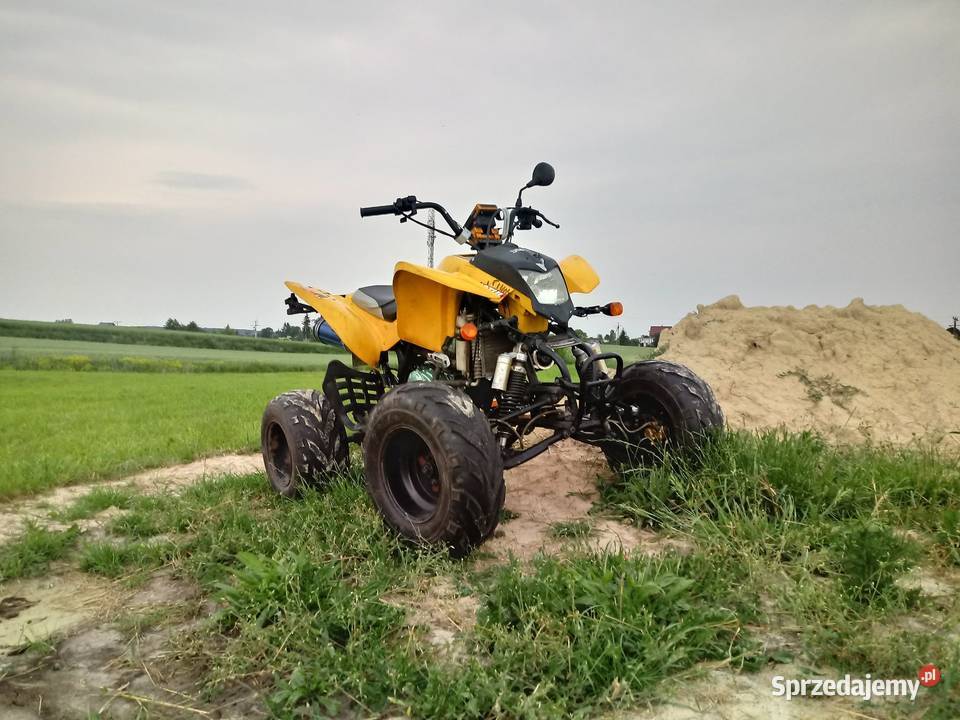 Quad Bashan 250 Zarejestrowany Chłodzony cieczą Bobowo