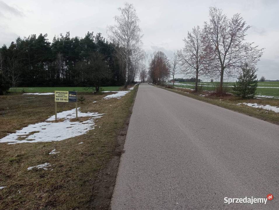 Dąbrówka gm Czerwonka działka budowlana 1100m Sprzedaż Czerwonka Szlachecka
