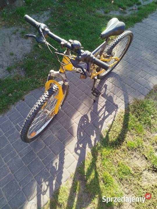 Rower mtb Chojno-Błota Wielkie