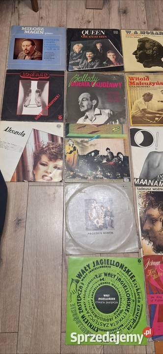 Plyty winylowe Kultura i Rozrywka śląskie