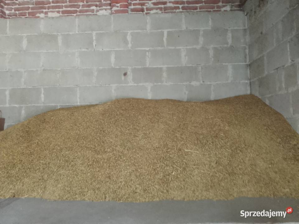 Sprzedam Ślesin
