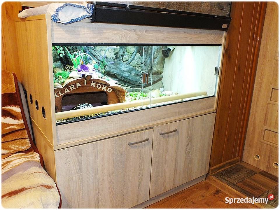 Duże Terrarium z szafką 2 Żółwie Grecki i Lubsko