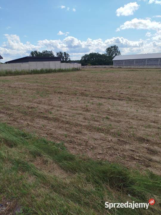 Sprzedam działkę budowlaną z wz Sprzedaż Babczów sprzedam