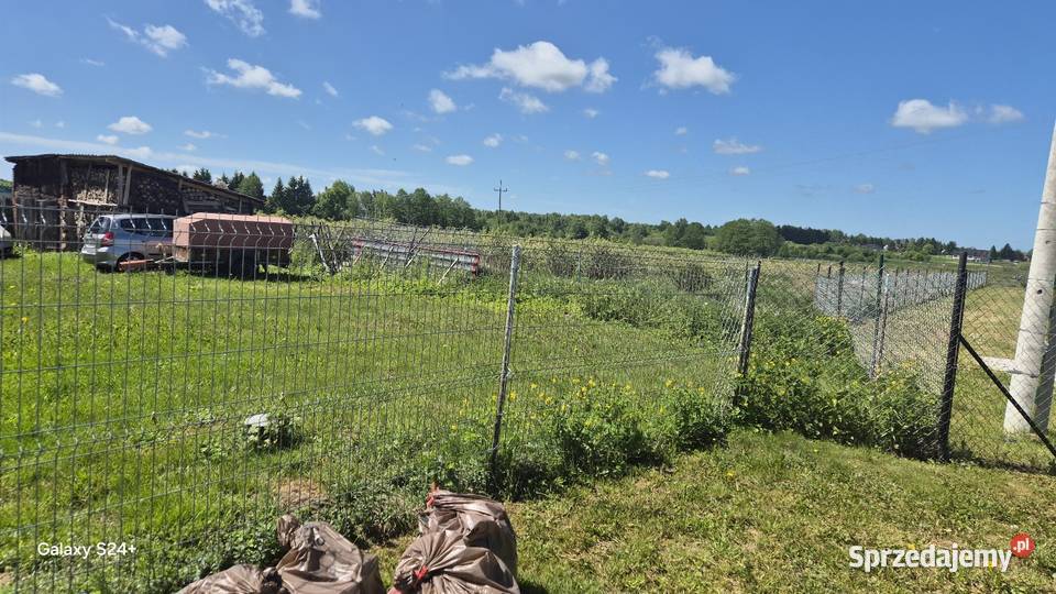Sprzedaż domu z plantacją borówki 4200m2 sprzedam