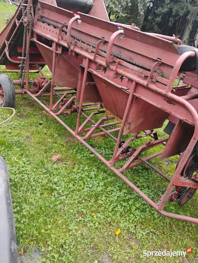 Sortownik do ziemniaków produkcji rosyjskiej Szczekociny