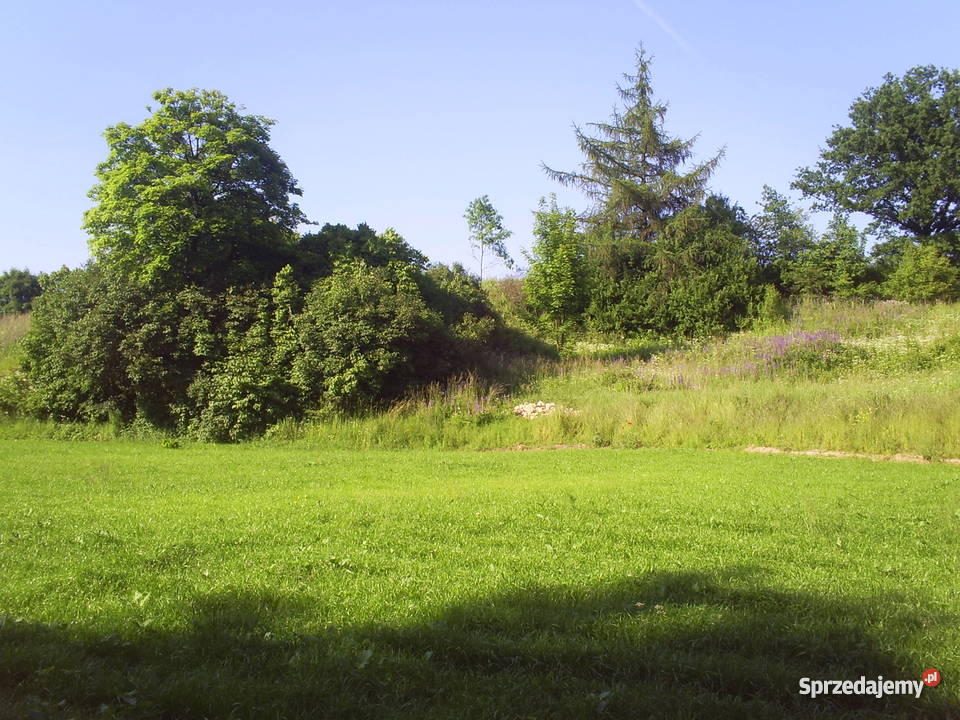działka pod lasem Grunty i działki Szreniawa