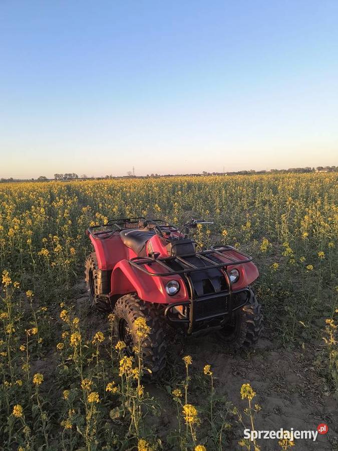 Yamaha kodiak 400 Lucynowo