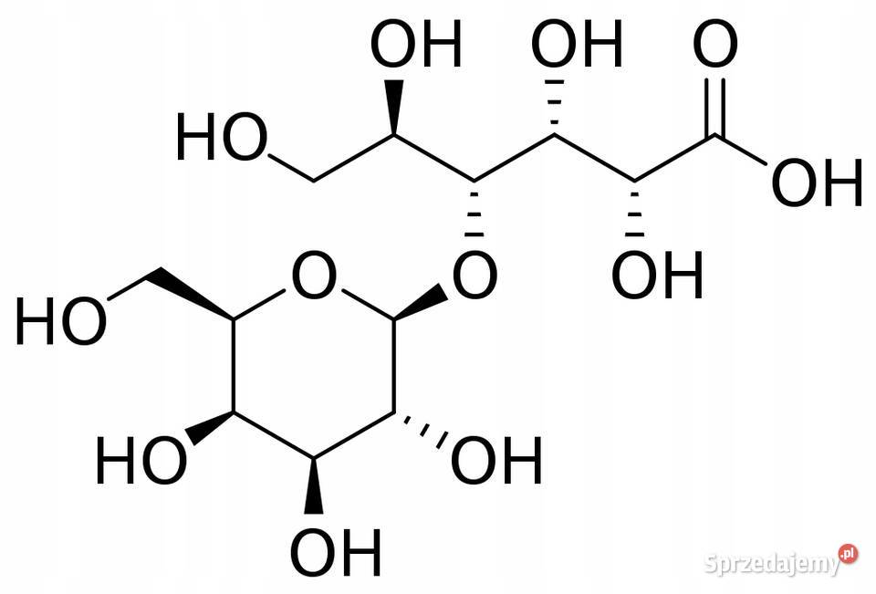 Kwas Laktobionowy Lactobionic Acid Kosmetyki 90g łódzkie Łódź