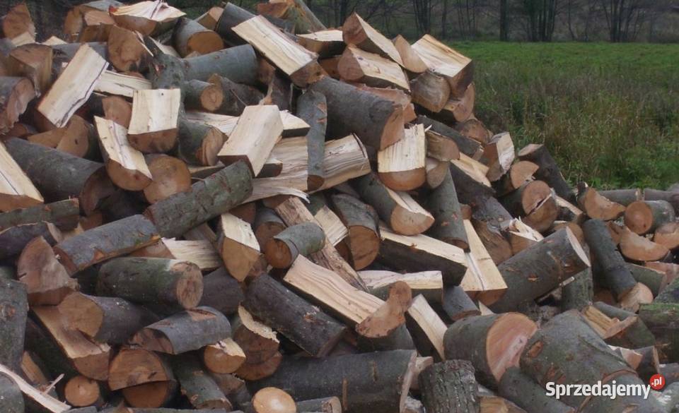 Drewno Kominkowe I Opałowe Różne gatunki Skwierzyna