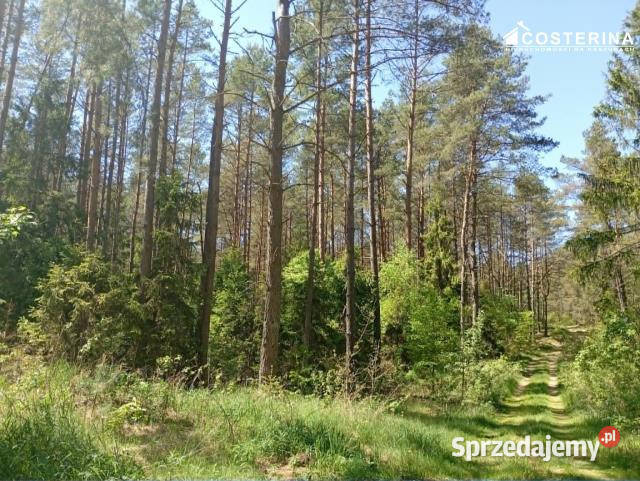 Działka 145300m2 Gostomie
