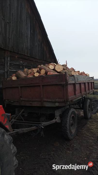 Sprzedam drewno sosna opałowe 1200 przyczepę Leśnictwo Rolnictwo