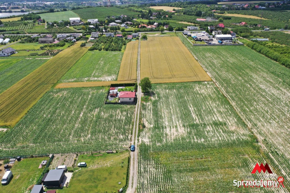 sprzedaży działki Szpetal Górny 89925m2 kujawsko-pomorskie