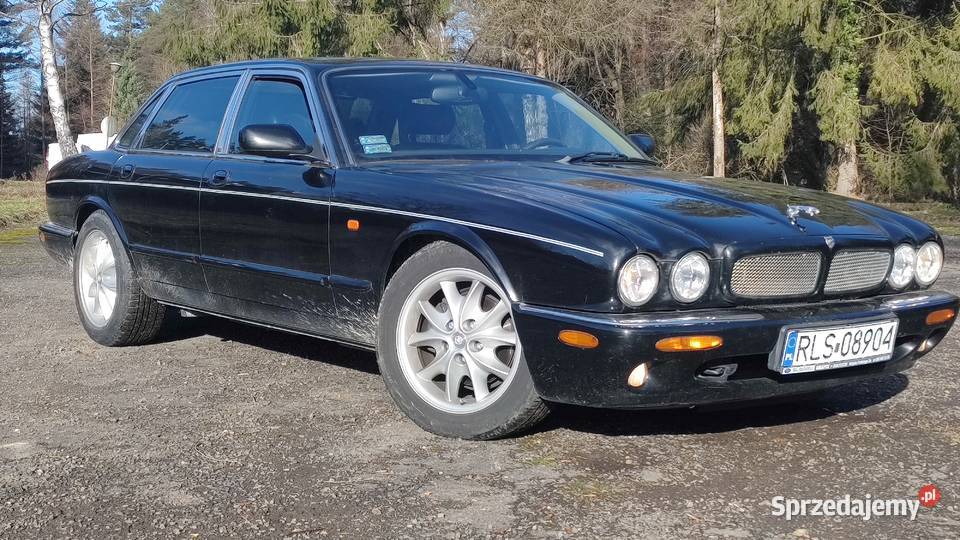 Jaguar XJ8 Sport Rok produkcji 1999 podkarpackie