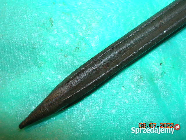 Bagnet francuski kolec Łódź