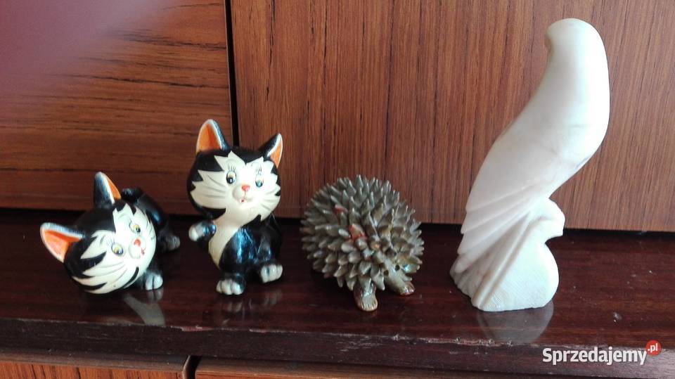 Kiciusie małe mazowieckie