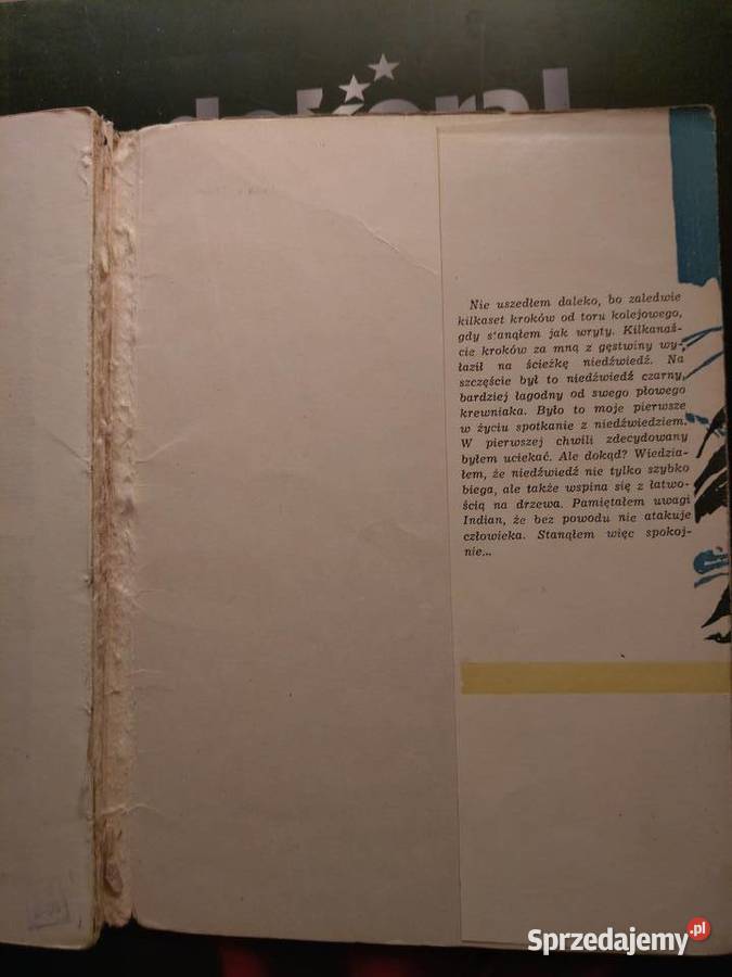 Alpinizm W górach Ameryki Północnej sport Gdańsk