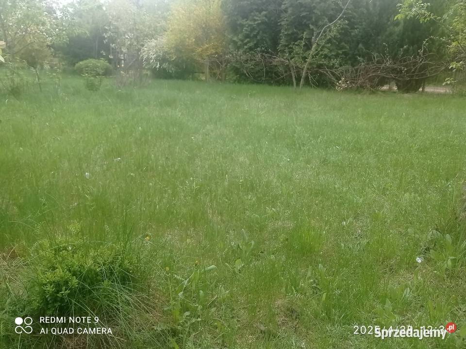 Działka Przylaszczka Łódź Okazja