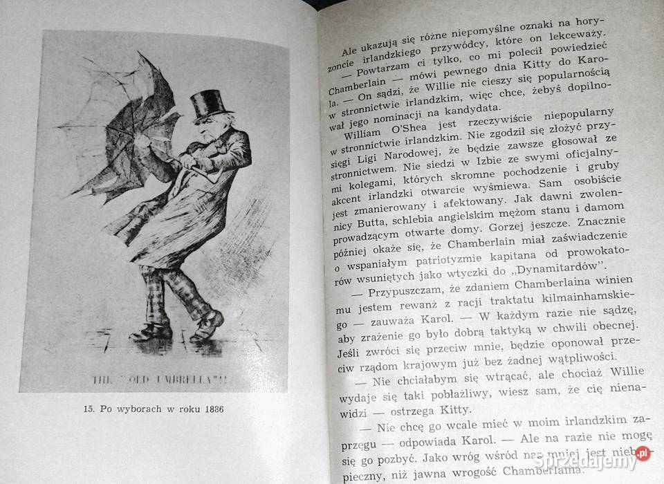 Niekoronowany król Irlandii George Bidwell Chełm