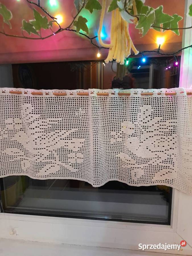 Zazdrostka ptaszki mazowieckie Warszawa