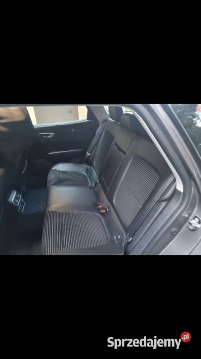 Renault Talisman nieuszkodzony Tuchola