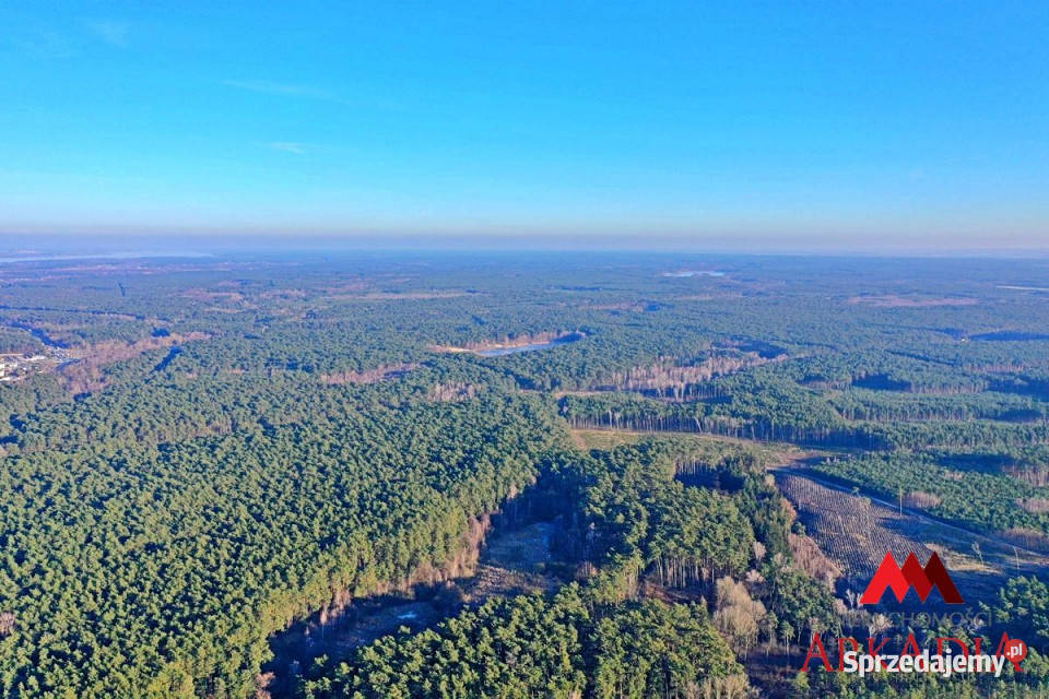 Ogłoszenie dom szeregowy Włocławek 280m2 kujawsko-pomorskie