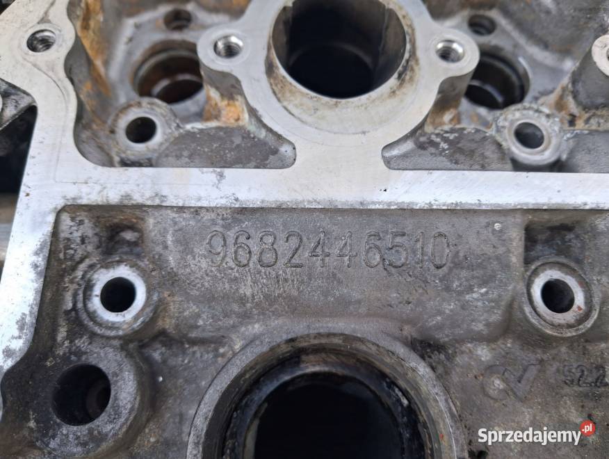 Głowica Cylindrów Wałki 20 HDI Citroen Peugeot