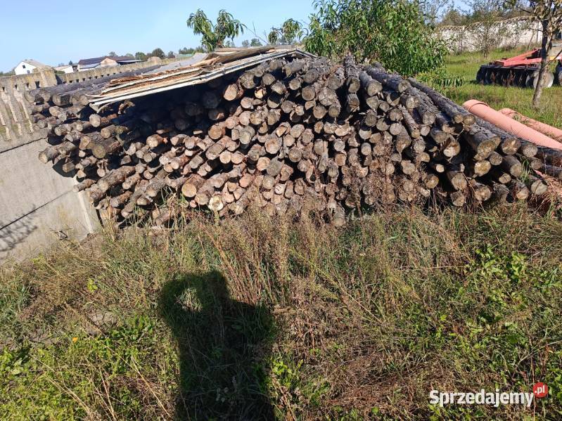 Stemple budowlane 350 sztuk Jastrzębice