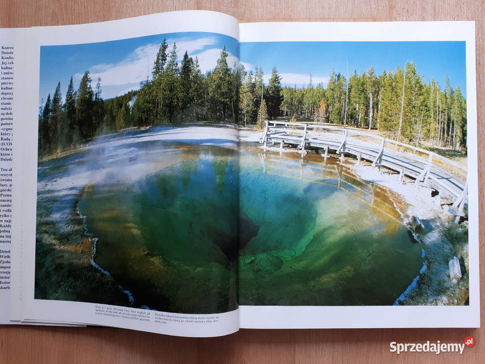 Skarby przyrody Rybnik sprzedam