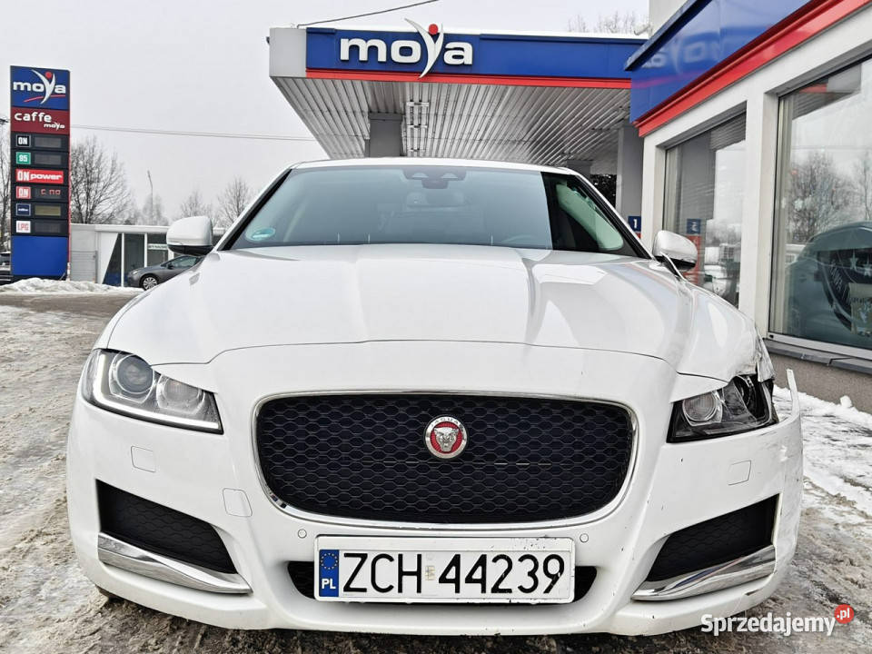 Jaguar XF X260 2015 reflektory ksenonowe