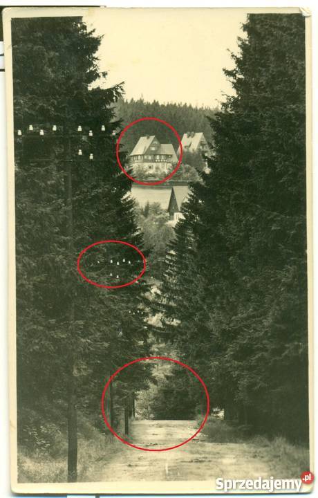 Waldblick nach Oberbarenburg Postkarte Ostrów Wielkopolski